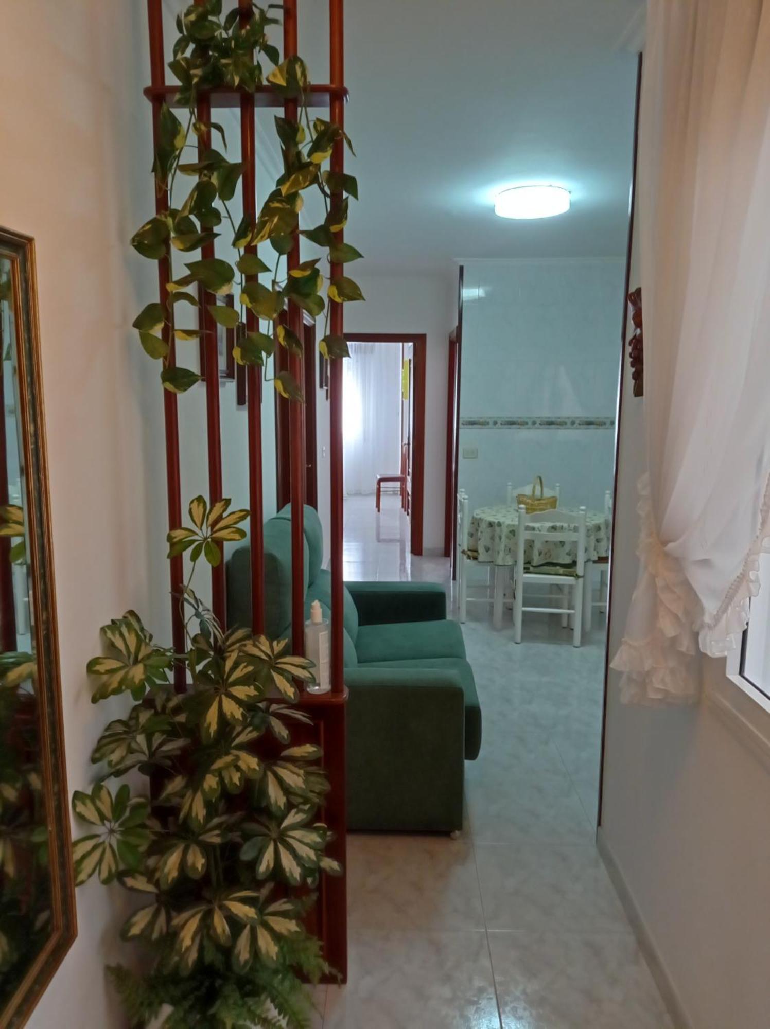 Acogedor Apartamento Centrico Apartment O Grove Exterior foto